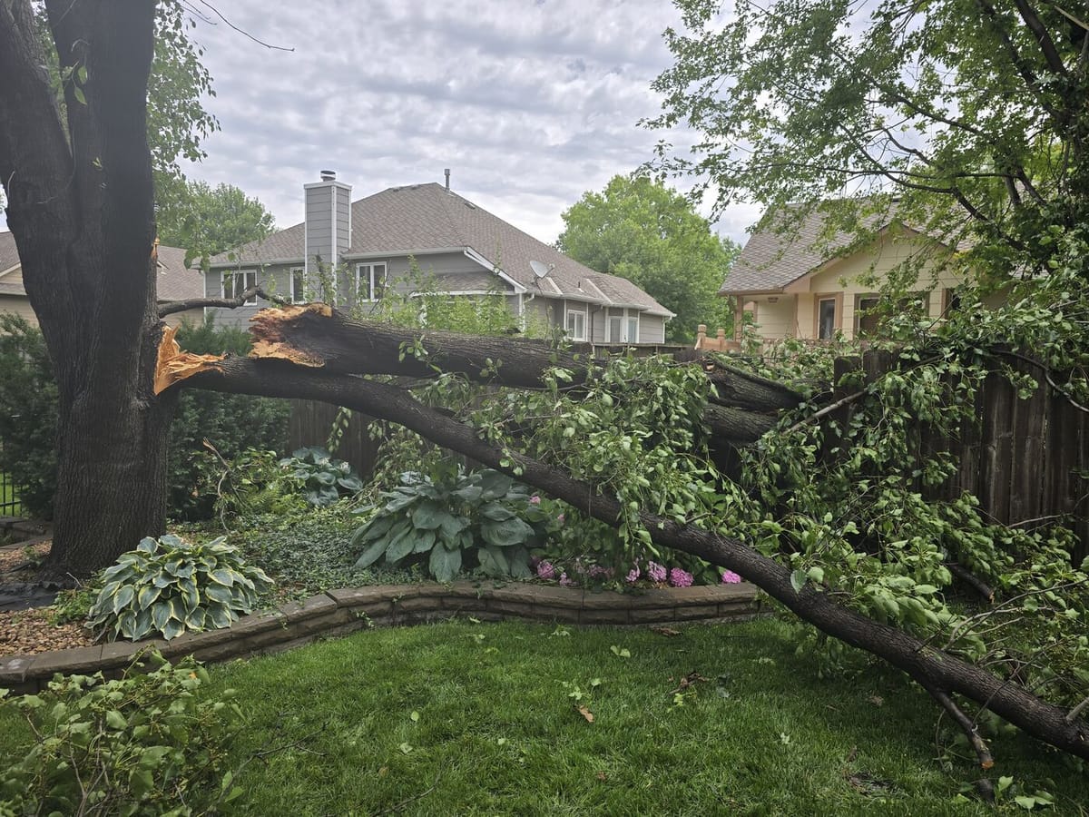 A massive tree fallen across a fence in a Wichita backyard after a Kansas storm