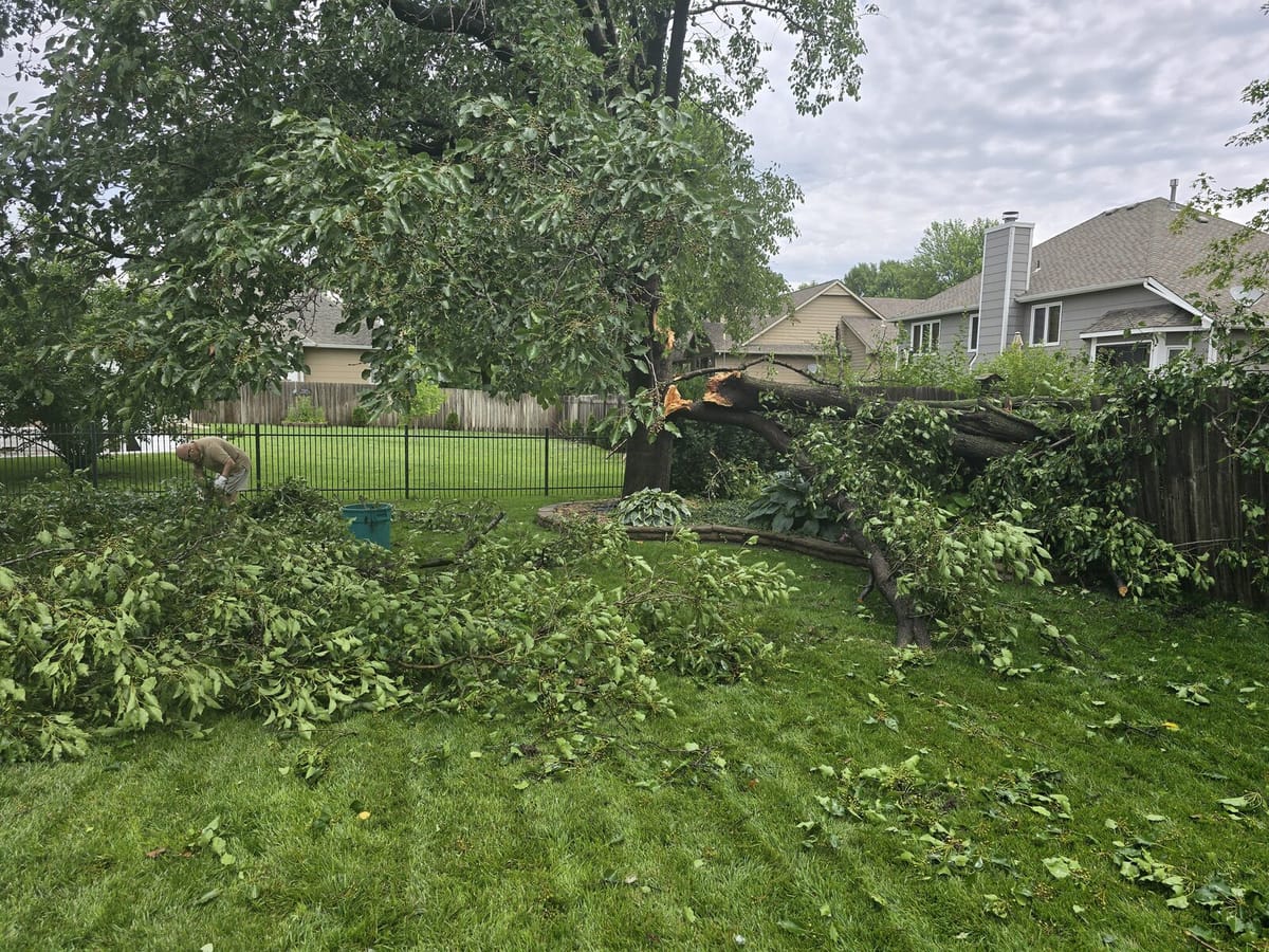 Storm damage with a tree fallen across the original fence in a Wichita backyard